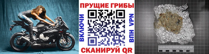 наркошоп  Чудово  Псилоцибиновые грибы мицелий 